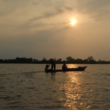 Dans la jungle de Koh Kong