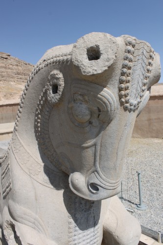 Tête de taureau à Persepolis