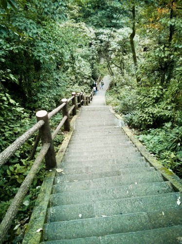 Emei Shan Escaliers