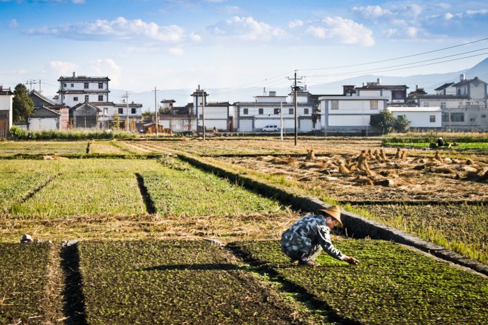 Campagne autour de Dali au Yunnan