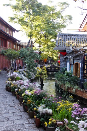 Rue fleurie de Lijiang au Yunnan