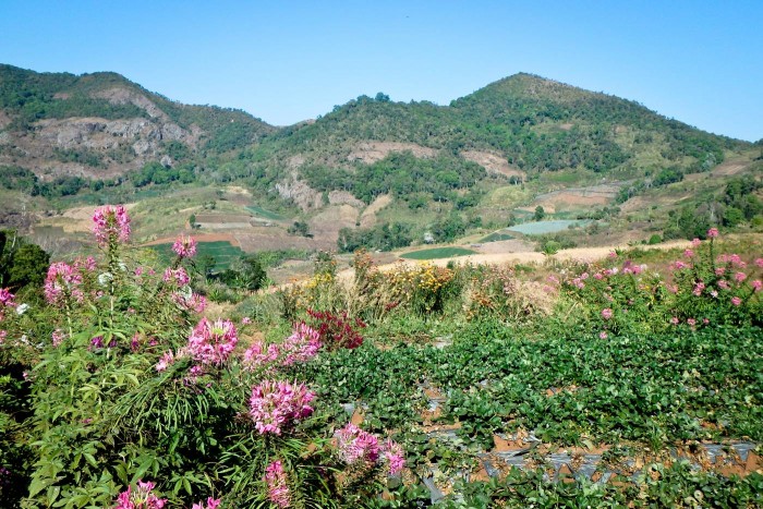 Chiang_mai_montagnes