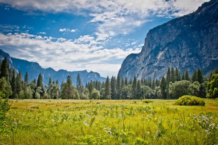 Prairie au Yosemite