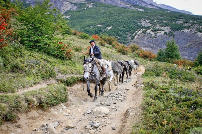 Gaucho dans le parc