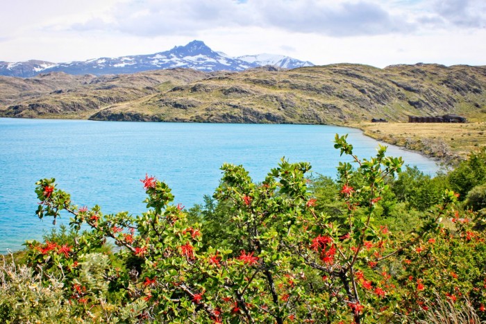Un des magnifiques lacs du parc Torres del Paine