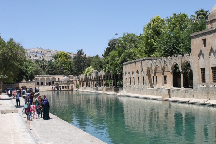 Lac aux carpes à Şanlıurfa, Turquie