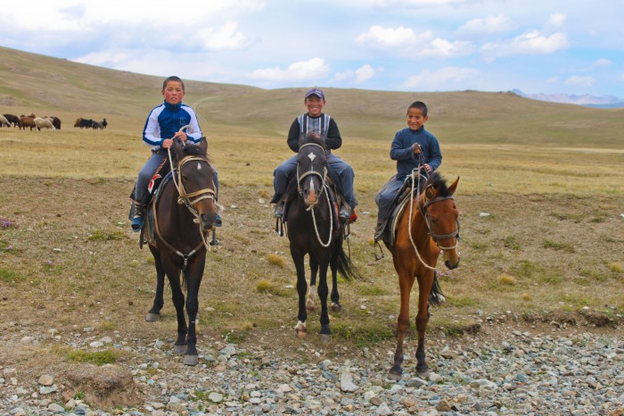 Les petits voleurs de chevaux