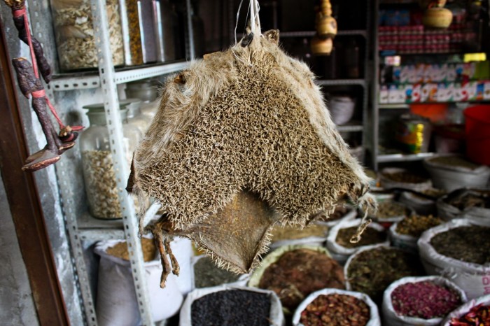 Peau de hérisson au marché d'Urumqi