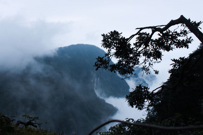 Emei Shan Brume