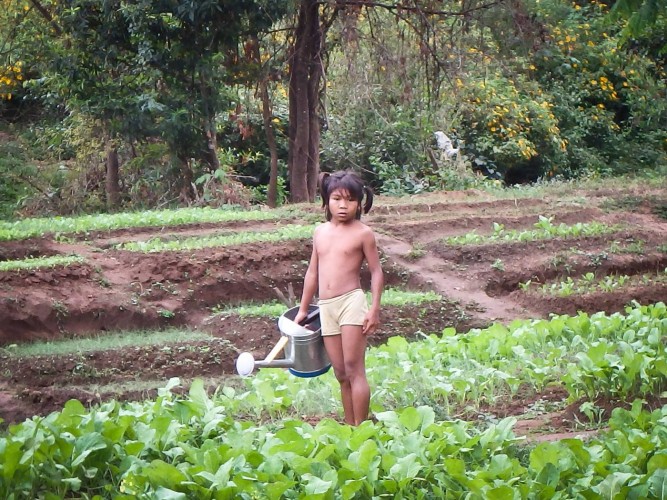Enfant Champassak au Laos