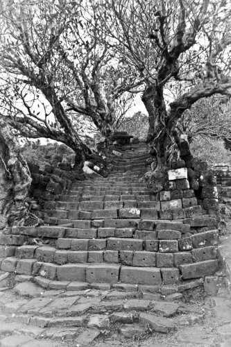 Un des escaliers qui conduisent au temple de Wat Phu