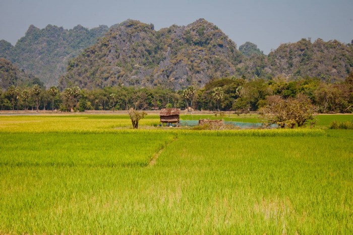 Hpa-An_riziere_fluo