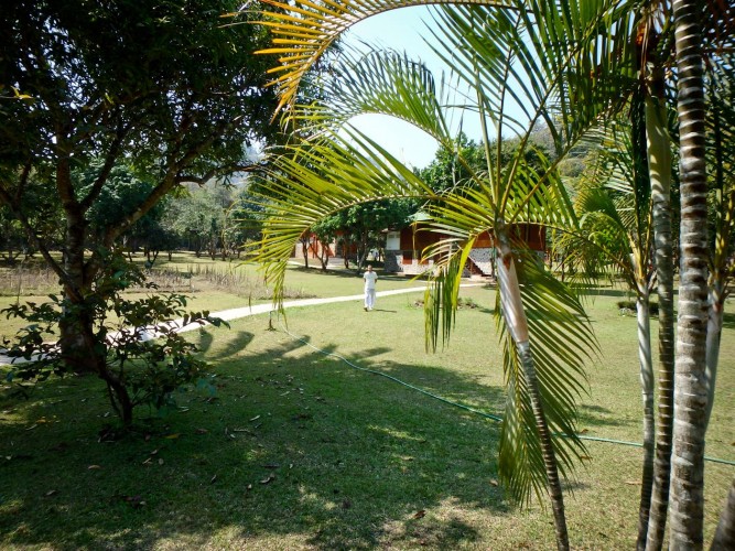 tamwua-jardin