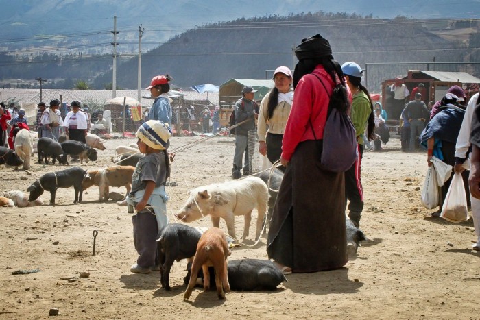 otavalo_marche_animaux